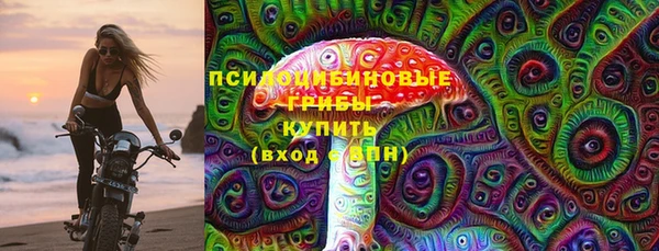 марки lsd Гусь-Хрустальный